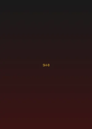 四虎影院 - 烈火英雄海报